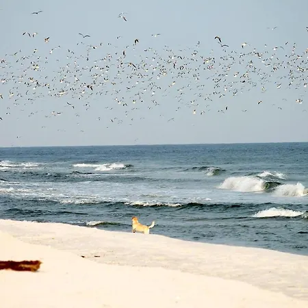 Apartment White Pearl 3.05 Timmendorfer Strand