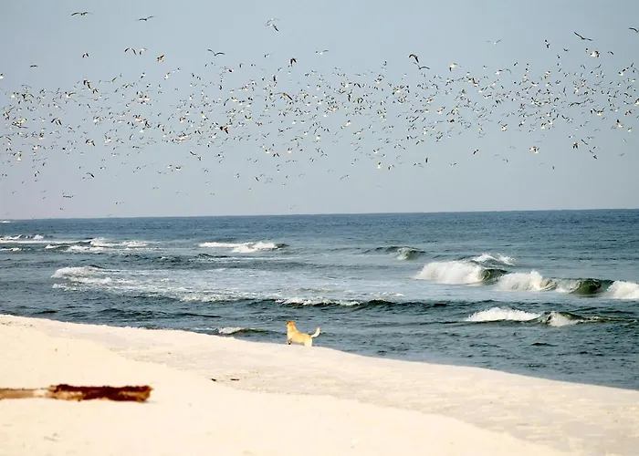 Διαμέρισμα White Pearl 3.05 Timmendorfer Strand